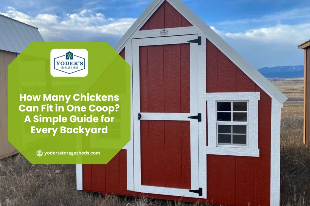 How Many Chickens Can Fit in One Coop? A Simple Guide for Every Backyard